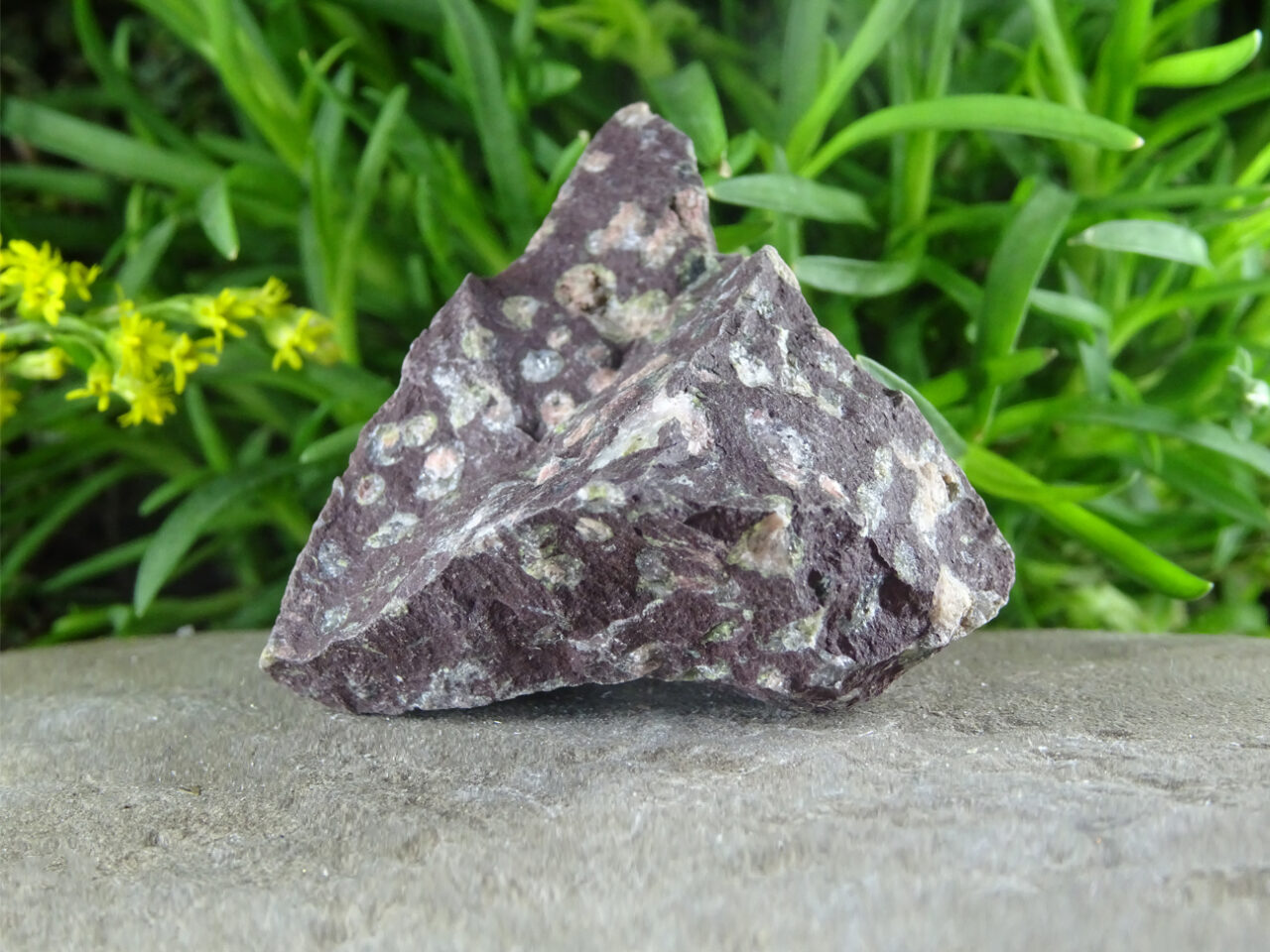 Flower Jasper Rough Crystal Surrender To Happiness